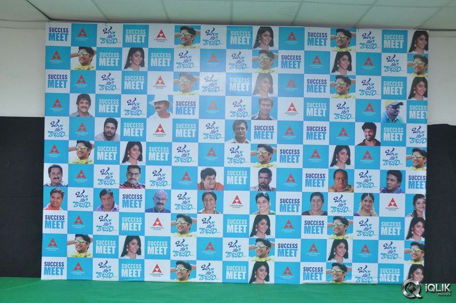 Oka-Laila-Kosam-Movie-Success-Meet